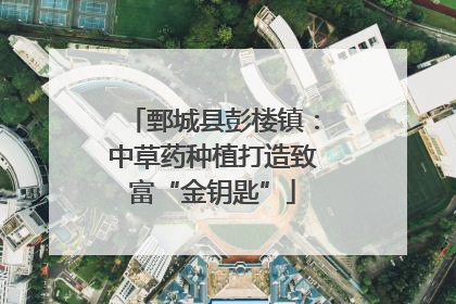 鄄城县彭楼镇：中草药种植打造致富“金钥匙”