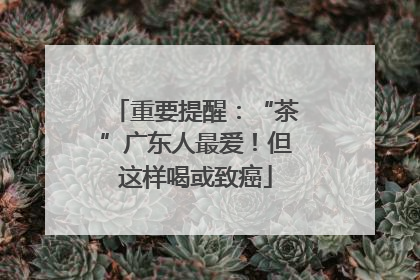 重要提醒：“茶”广东人最爱！但这样喝或致癌