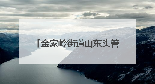 金家岭街道山东头管区开展端午节主题活动 传递敬老温情