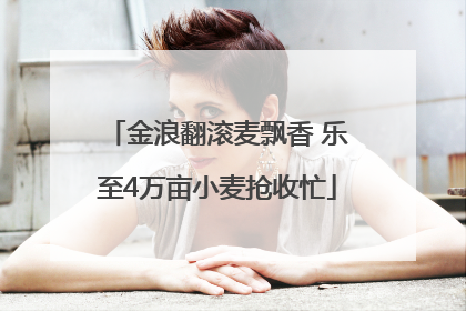 金浪翻滚麦飘香 乐至4万亩小麦抢收忙