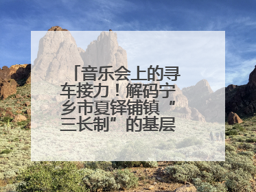 音乐会上的寻车接力！解码宁乡市夏铎铺镇“三长制”的基层治理新实践