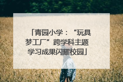 青园小学：“玩具梦工厂”跨学科主题学习成果闪耀校园