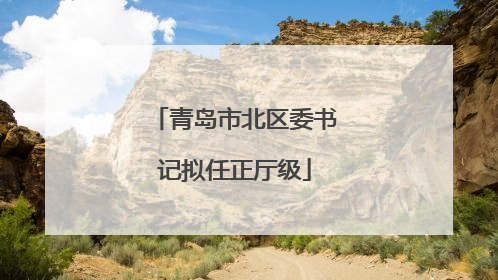 青岛市北区委书记拟任正厅级