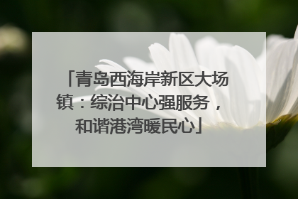青岛西海岸新区大场镇：综治中心强服务，和谐港湾暖民心