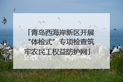 青岛西海岸新区开展“体检式”专项检查筑牢农民工权益防护网