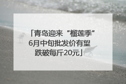 青岛迎来“榴莲季” 6月中旬批发价有望跌破每斤20元