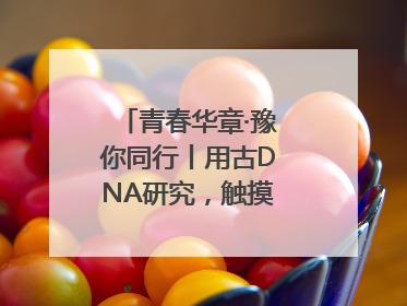 青春华章·豫你同行丨用古DNA研究，触摸藏在大学里的“上下五千年”