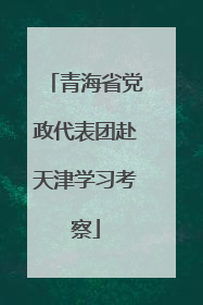 青海省党政代表团赴天津学习考察