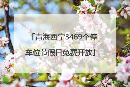 青海西宁3469个停车位节假日免费开放