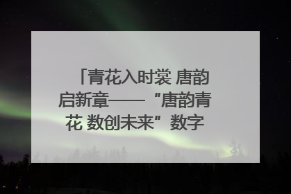 青花入时裳 唐韵启新章——“唐韵青花 数创未来”数字文创设计大赛启幕
