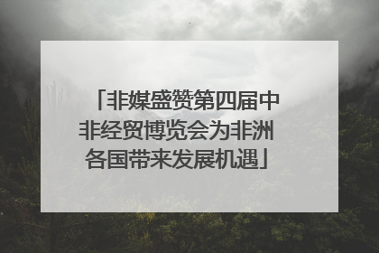 非媒盛赞第四届中非经贸博览会为非洲各国带来发展机遇