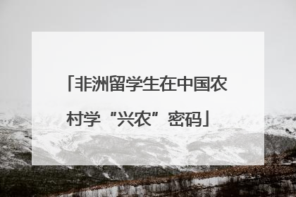 非洲留学生在中国农村学“兴农”密码