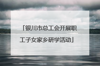 银川市总工会开展职工子女家乡研学活动