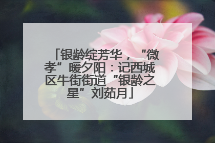 银龄绽芳华，“微孝”暖夕阳：记西城区牛街街道“银龄之星”刘茹月