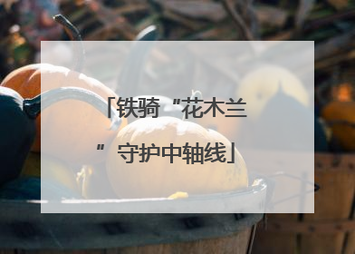 铁骑“花木兰”守护中轴线