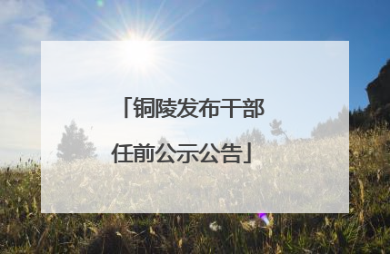 铜陵发布干部任前公示公告