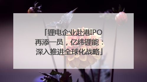 锂电企业赴港IPO再添一员，亿纬锂能：深入推进全球化战略
