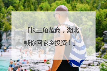 长三角楚商，湖北喊你回家乡投资！