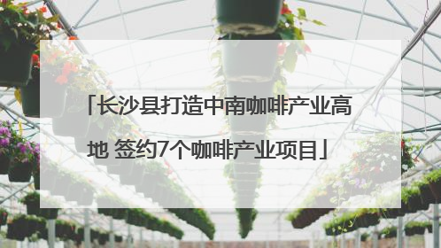 长沙县打造中南咖啡产业高地 签约7个咖啡产业项目