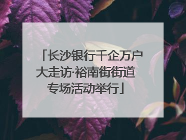 长沙银行千企万户大走访·裕南街街道专场活动举行