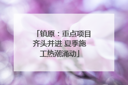 镇原：重点项目齐头并进 夏季施工热潮涌动