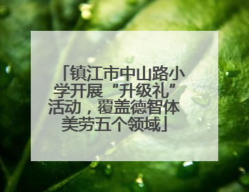 镇江市中山路小学开展“升级礼”活动，覆盖德智体美劳五个领域