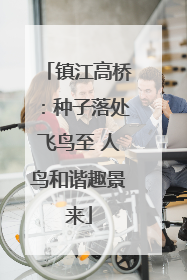 镇江高桥：种子落处飞鸟至 人鸟和谐趣景来