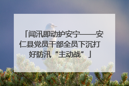 闻汛即动护安宁——安仁县党员干部全员下沉打好防汛“主动战”