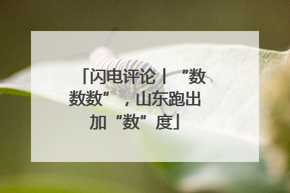 闪电评论丨“数数数”，山东跑出加“数”度