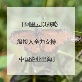 阿里云以战略级投入全力支持中国企业出海