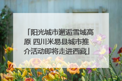 阳光城市邂逅雪域高原 四川米易县城市推介活动即将走进西藏