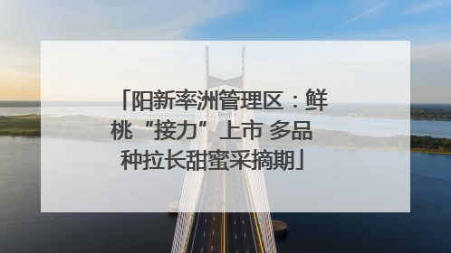 阳新率洲管理区：鲜桃“接力”上市 多品种拉长甜蜜采摘期