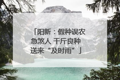 阳新：假种误农急煞人 千斤良种送来“及时雨”