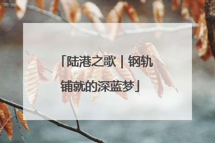 陆港之歌｜钢轨铺就的深蓝梦