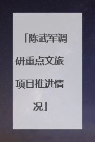 陈武军调研重点文旅项目推进情况