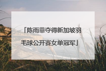 陈雨菲夺得新加坡羽毛球公开赛女单冠军