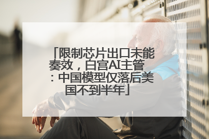 限制芯片出口未能奏效，白宫AI主管：中国模型仅落后美国不到半年