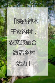 陕西神木王家沟村：农文旅融合 激活乡村活力