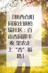 陕西合阳同家庄镇柏瑞社区：百亩杏园迎丰收 果农走上“杏”福路