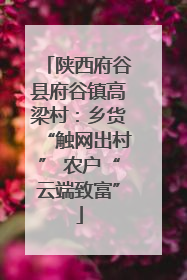 陕西府谷县府谷镇高梁村：乡货“触网出村” 农户“云端致富”