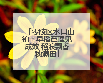 零陵区水口山镇：早稻管理见成效 稻浪飘香穗满田