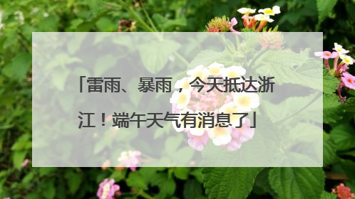 雷雨、暴雨，今天抵达浙江！端午天气有消息了