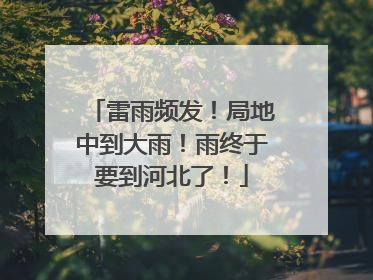 雷雨频发！局地中到大雨！雨终于要到河北了！
