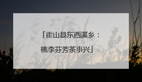 霍山县东西溪乡：桃李芬芳茶事兴