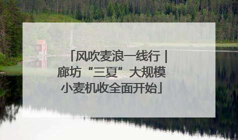 风吹麦浪一线行｜廊坊“三夏”大规模小麦机收全面开始