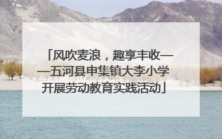 风吹麦浪，趣享丰收——五河县申集镇大李小学开展劳动教育实践活动