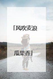 风吹麦浪 瓜果香