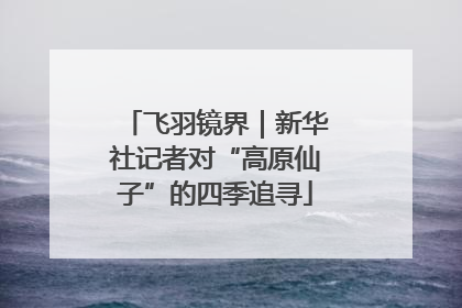 飞羽镜界｜新华社记者对“高原仙子”的四季追寻