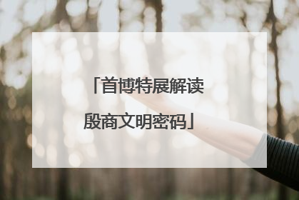 首博特展解读殷商文明密码