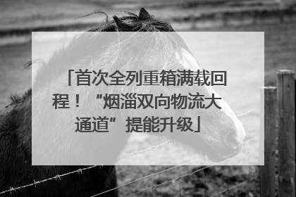 首次全列重箱满载回程！“烟淄双向物流大通道”提能升级
